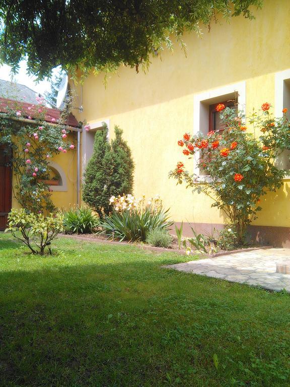 Forras Fogado Bed & Breakfast Bukkszek Ngoại thất bức ảnh
