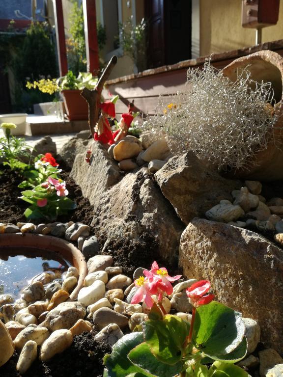 Forras Fogado Bed & Breakfast Bukkszek Ngoại thất bức ảnh