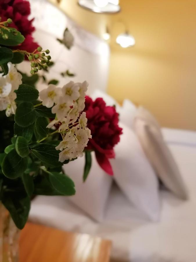 Forras Fogado Bed & Breakfast Bukkszek Ngoại thất bức ảnh
